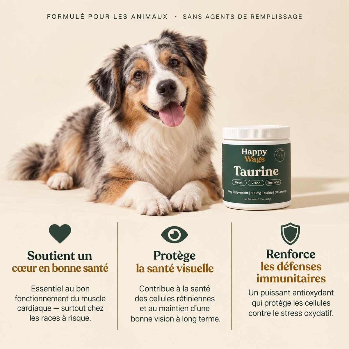 HappyWags ™ — Un Cœur Protégé, une Vie Prolongée