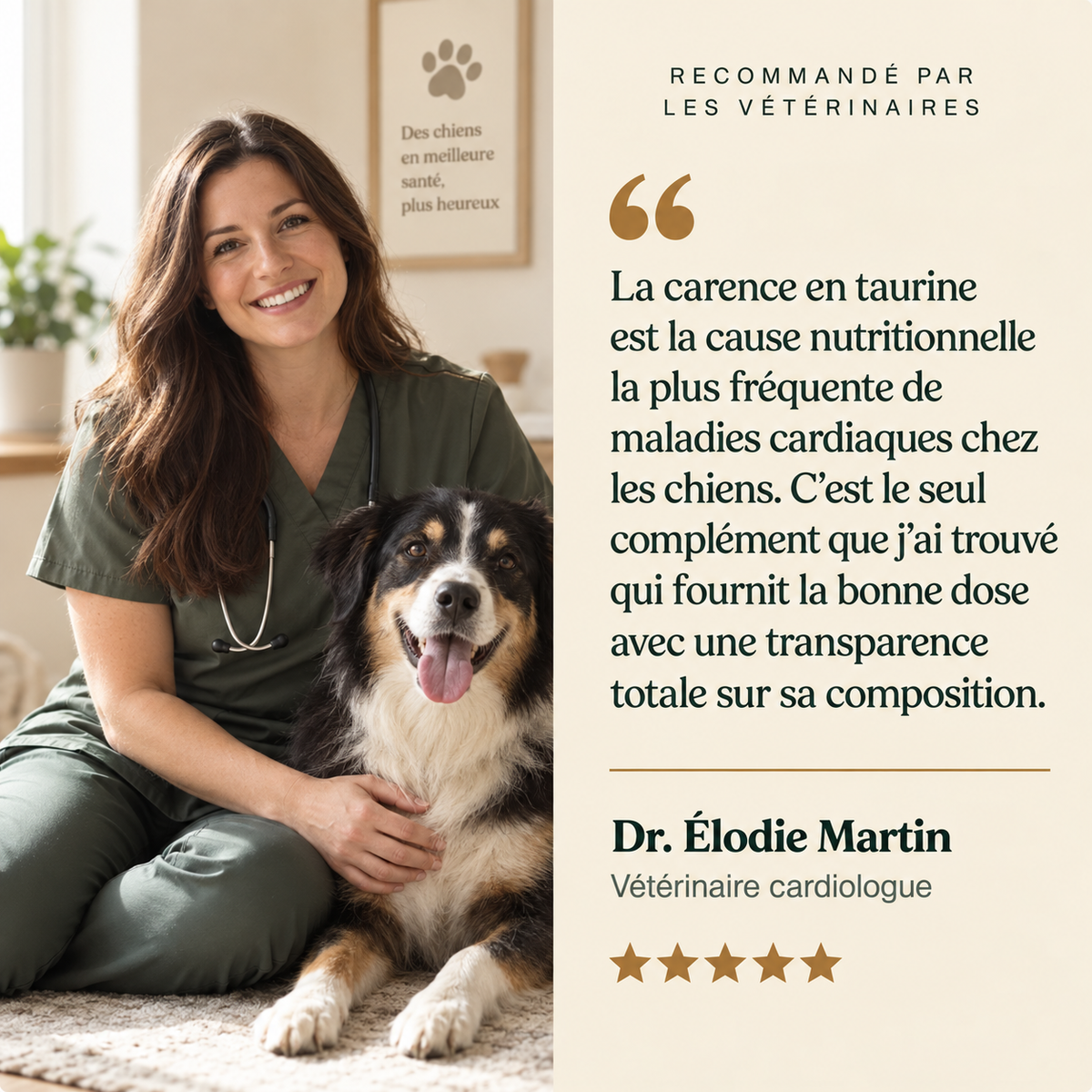 HappyWags ™ — Un Cœur Protégé, une Vie Prolongée