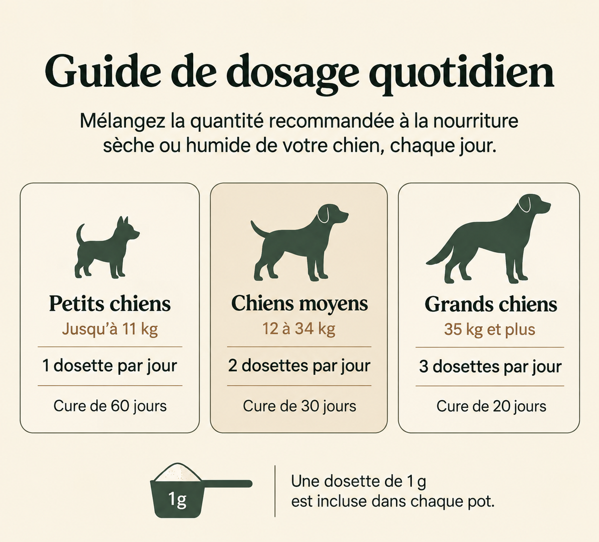 HappyWags ™ — Un Cœur Protégé, une Vie Prolongée