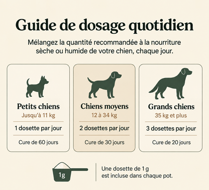 HappyWags ™ — Un Cœur Protégé, une Vie Prolongée